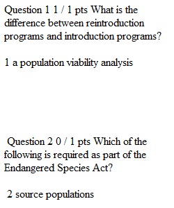 Lecture Review Five